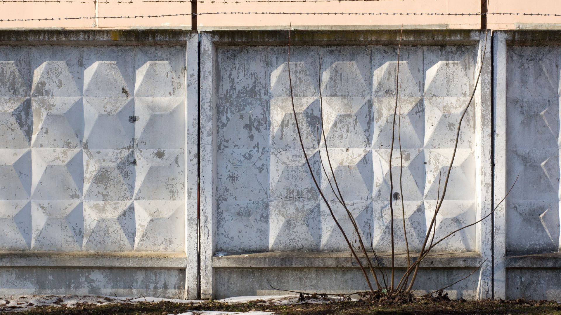 painted concrete fence nz (2)