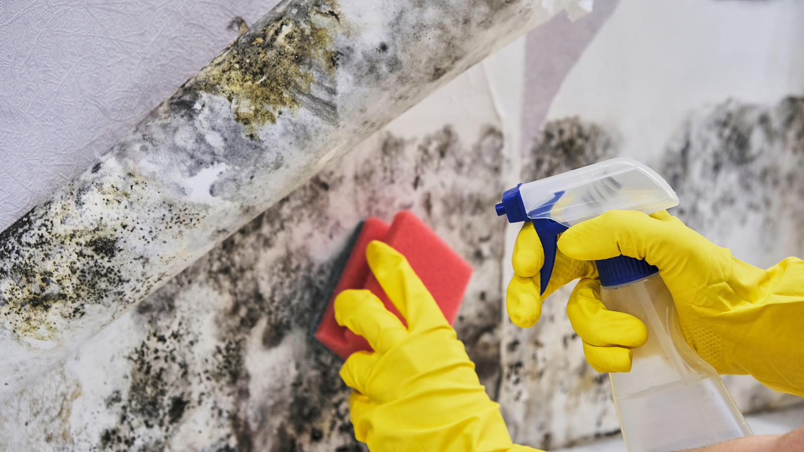 How To Remove Oil From Concrete In NZ: Effective DIY Methods And Expert ...